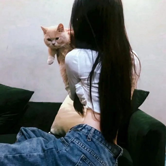 谋杀,她写道:西南偏南